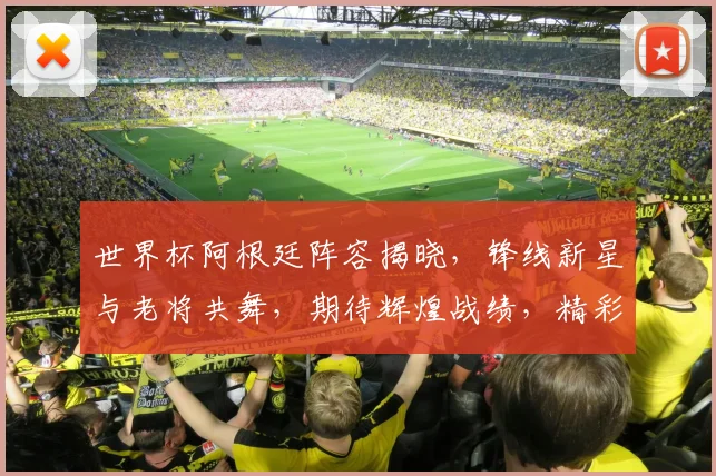 世界杯阿根廷阵容揭晓，锋线新星与老将共舞，期待辉煌战绩，精彩不容错过