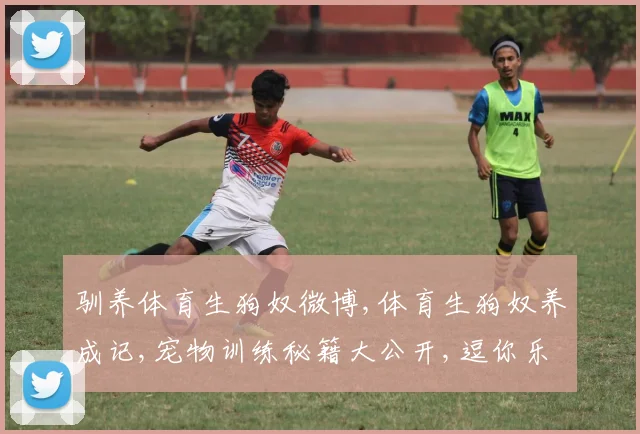 驯养体育生狗奴微博,体育生狗奴养成记,宠物训练秘籍大公开,逗你乐翻天
