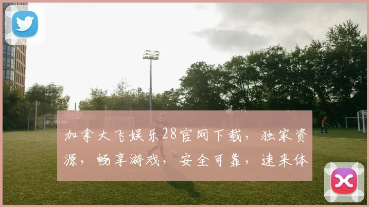 加拿大飞娱乐28官网下载，独家资源，畅享游戏，安全可靠，速来体验
